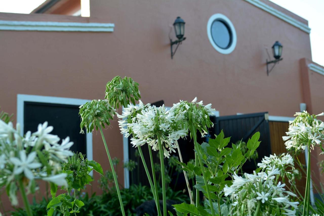La Monturera, Loft De Campo Apartment Colonia del Sacramento Exterior foto