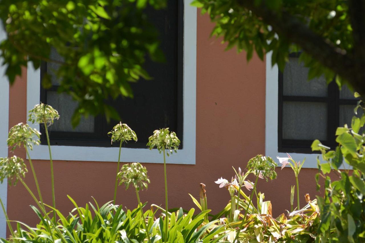La Monturera, Loft De Campo Apartment Colonia del Sacramento Exterior foto